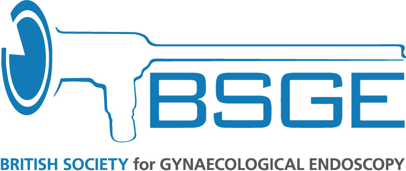 Bsge Logo