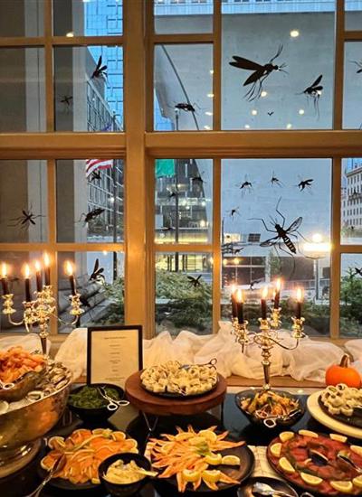 A dining table with a buffet laid out in front of a window decorated with large insect shapes