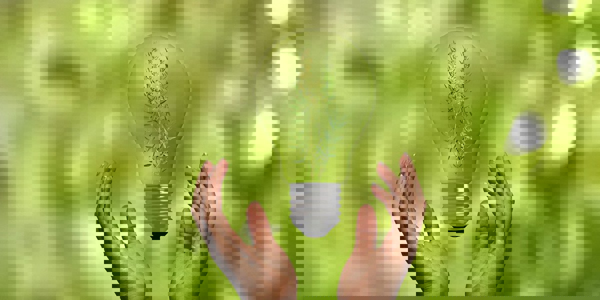 Hand holding a lightbulb against a green background, symbolizing sustainable and eco-friendly ideas