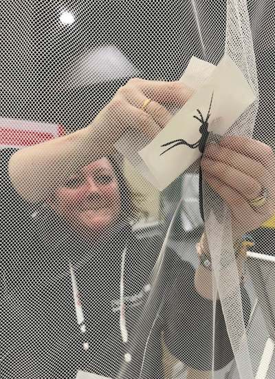 Alex Sibley attaching cut out shapes of insects to a mosquito net